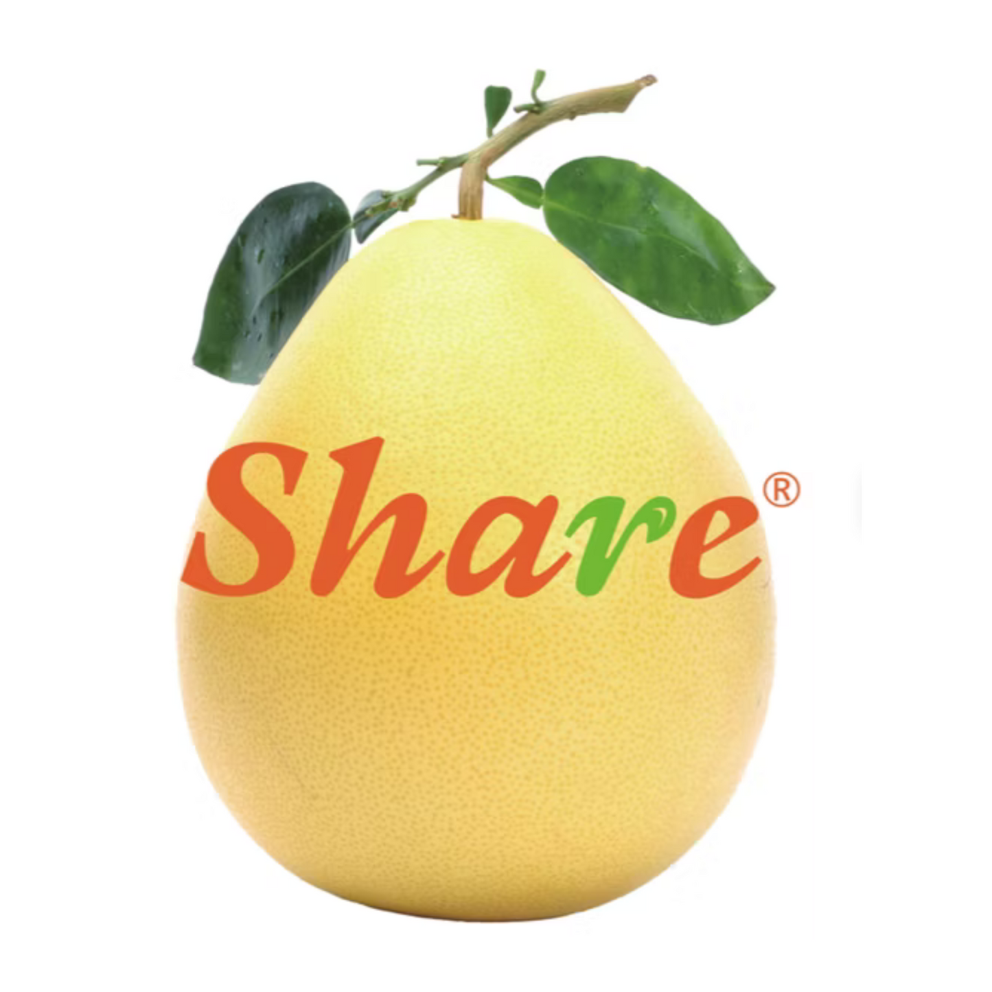 Share ORIGINAL® Pflaume (jap. Aprikose)