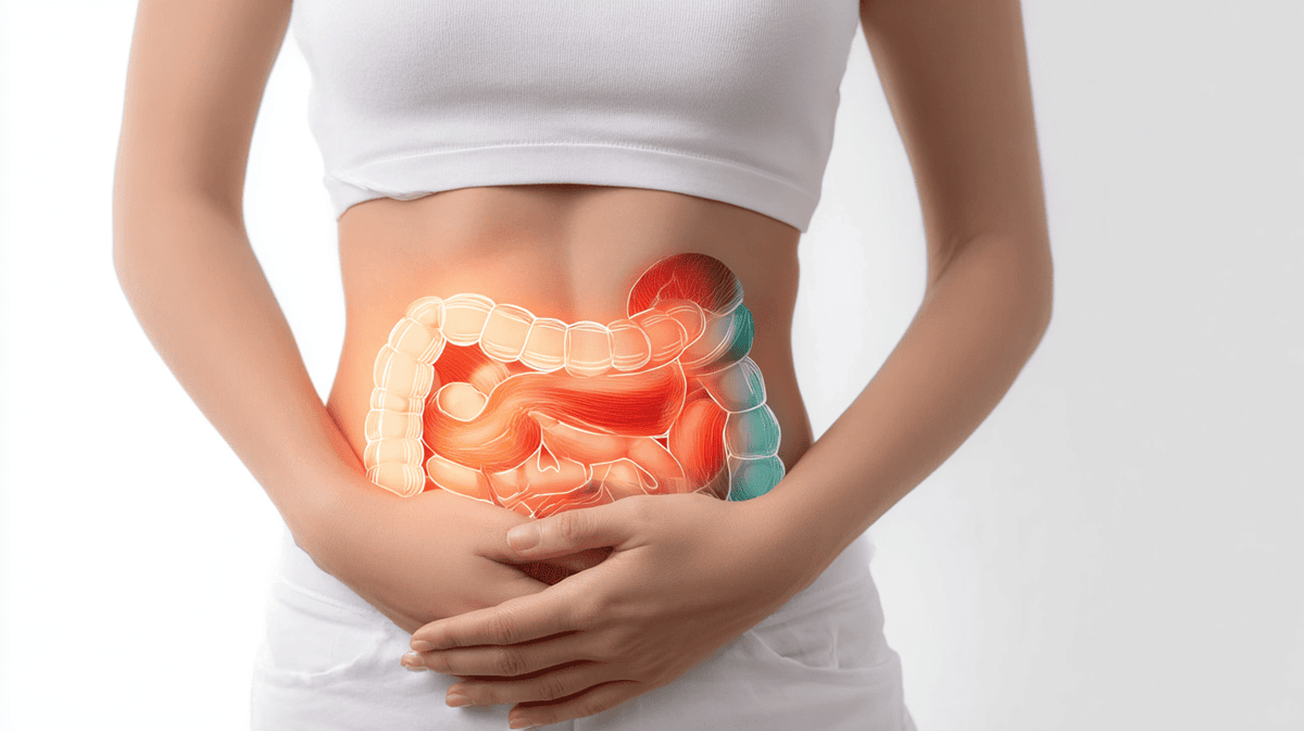 Darmreinigung & Aufbau