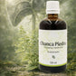 Chanca Piedra Steinbrecher Kräutertropfen - 100ml