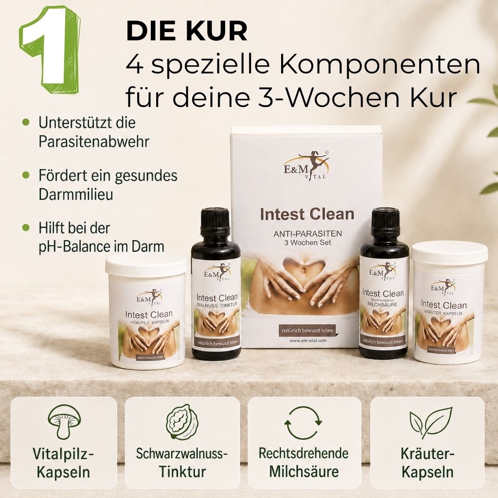 Die PARASITENKUR | 21-Tage Milieu-Reset mit Workshop & Begleitung