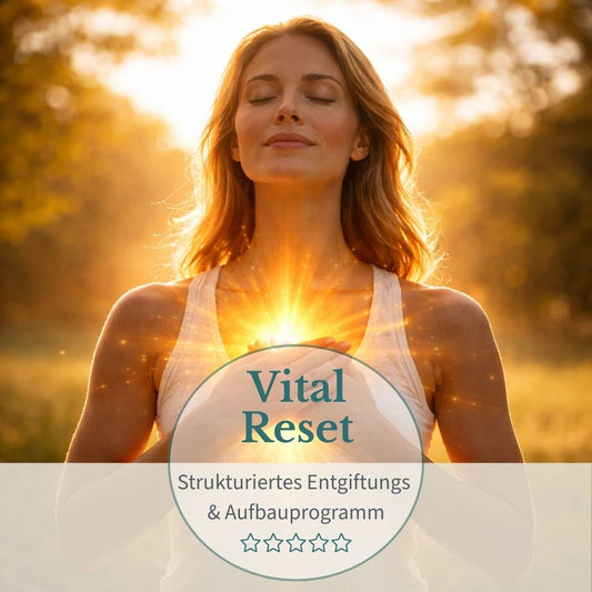 Vital Reset – Der strukturierte Neustart für deinen Körper